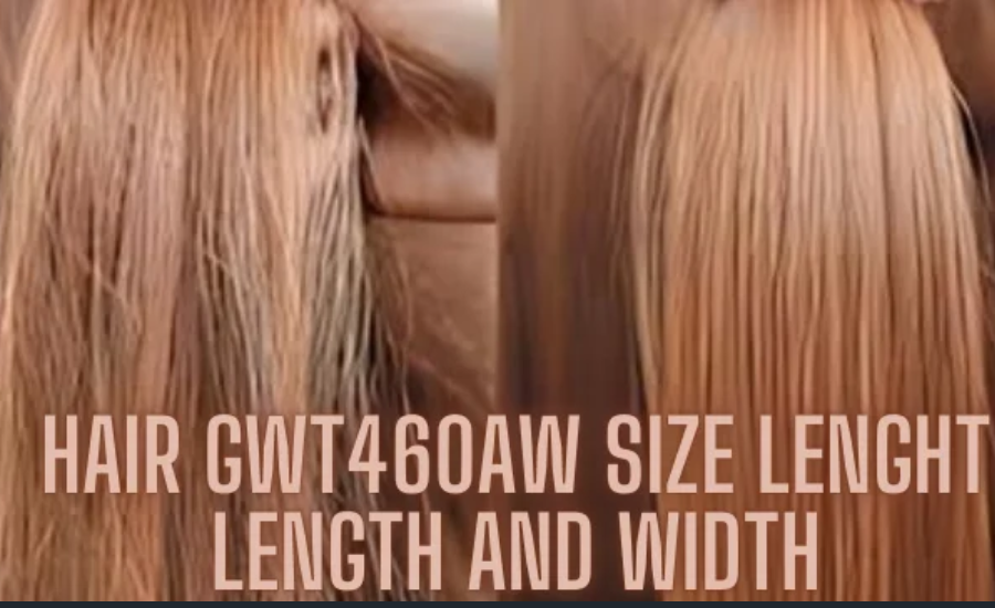 Technical Specifications: Length And Width Measurements